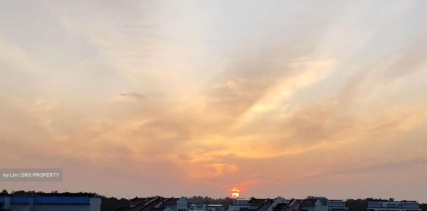 Blk 522 Jelapang Road (Bukit Panjang), HDB 5 Rooms #623121681